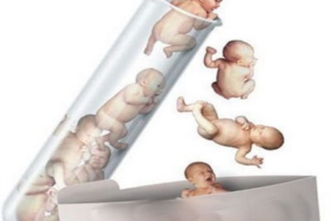http://huizhou.dacou.net/post/194.html|惠州新闻中心
